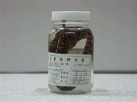 藏品(花鰭裸胸鯙)的圖片